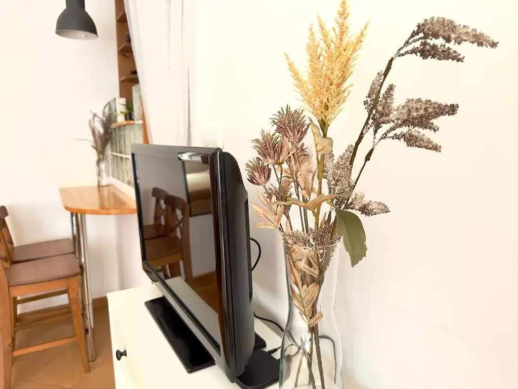 Cozy Studio In City Centre Budapest Hungary